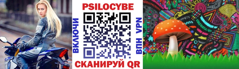 omg   Иннополис  Псилоцибиновые грибы ЛСД 
